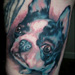 Tattoos - dog portrait - 31646
